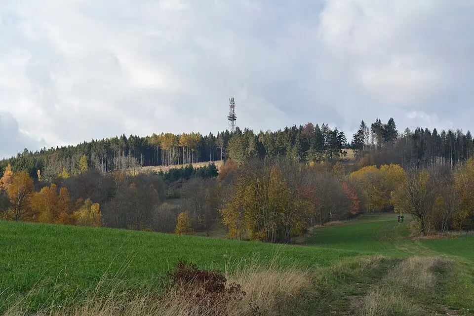 Horní les