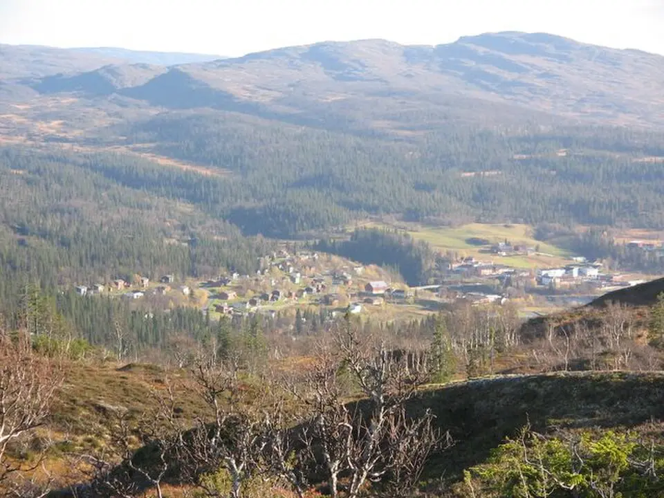 Gemeinde Røyrvik