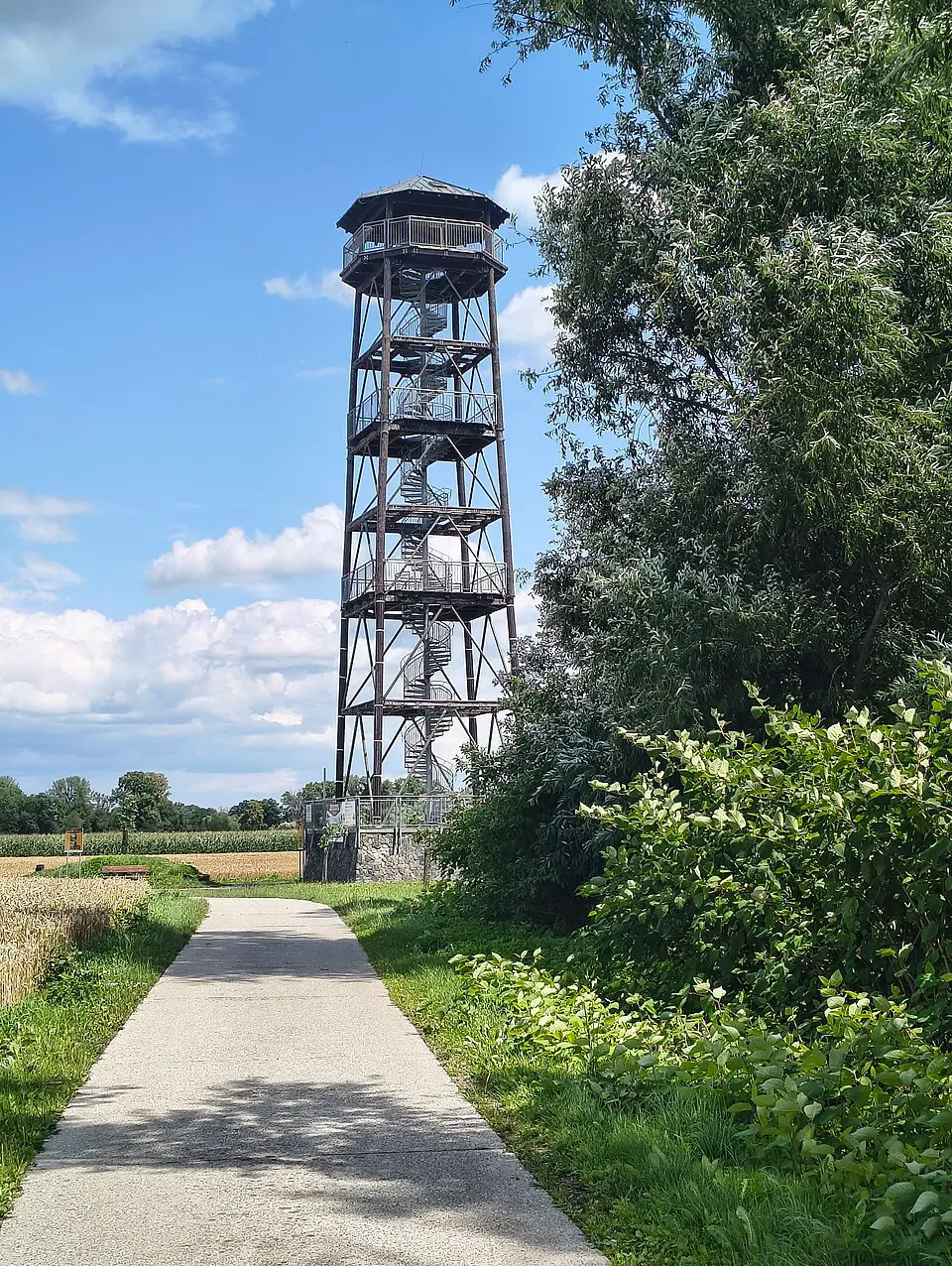 wieża widokowa Graniczne meandry Odry