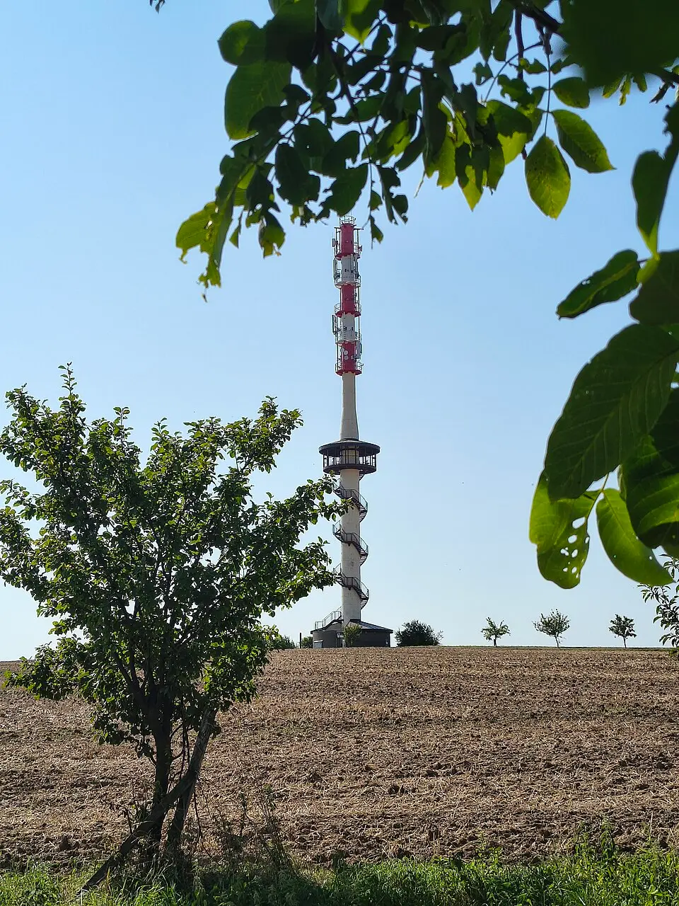 Bílov (rozhledna)