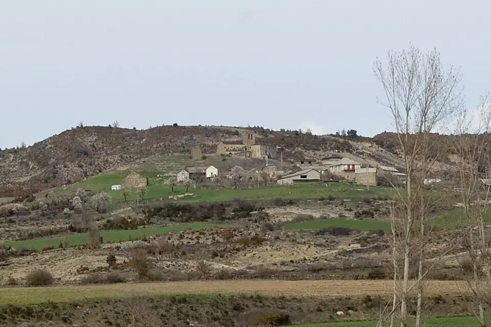 Arto