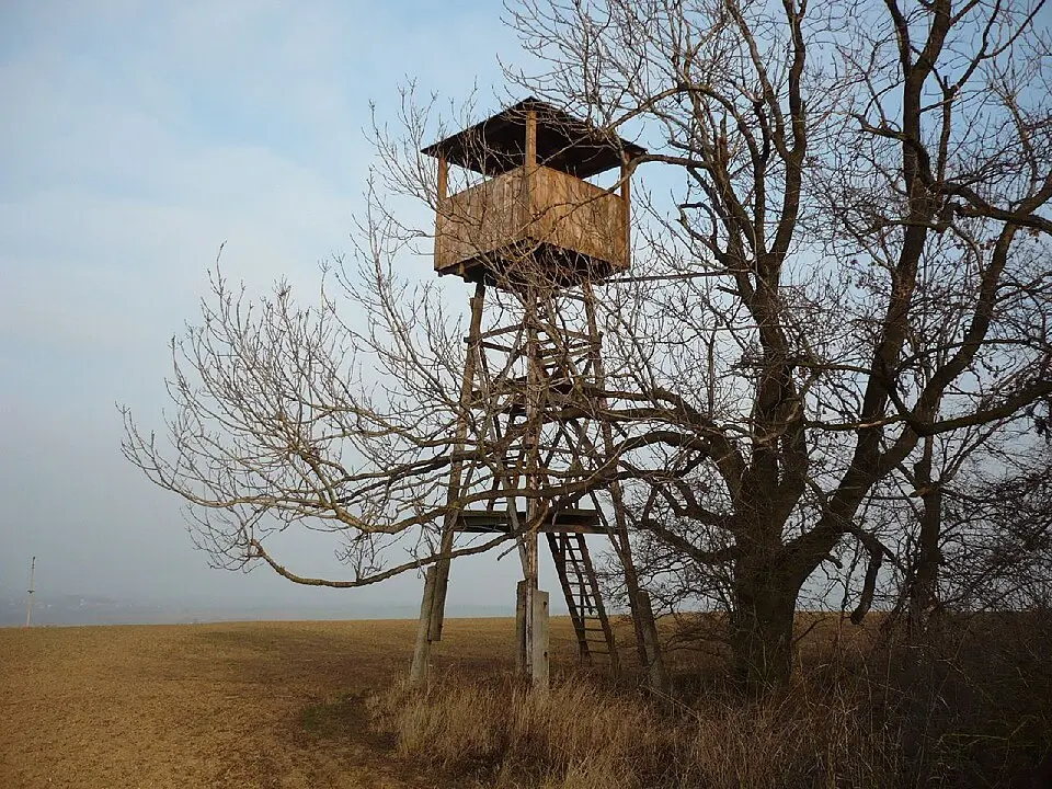 Kelčice