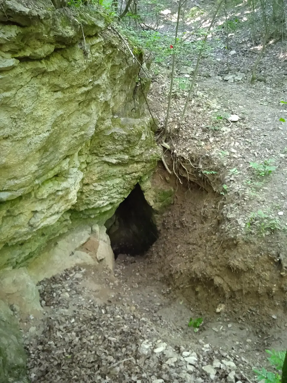Rozmaring-barlang
