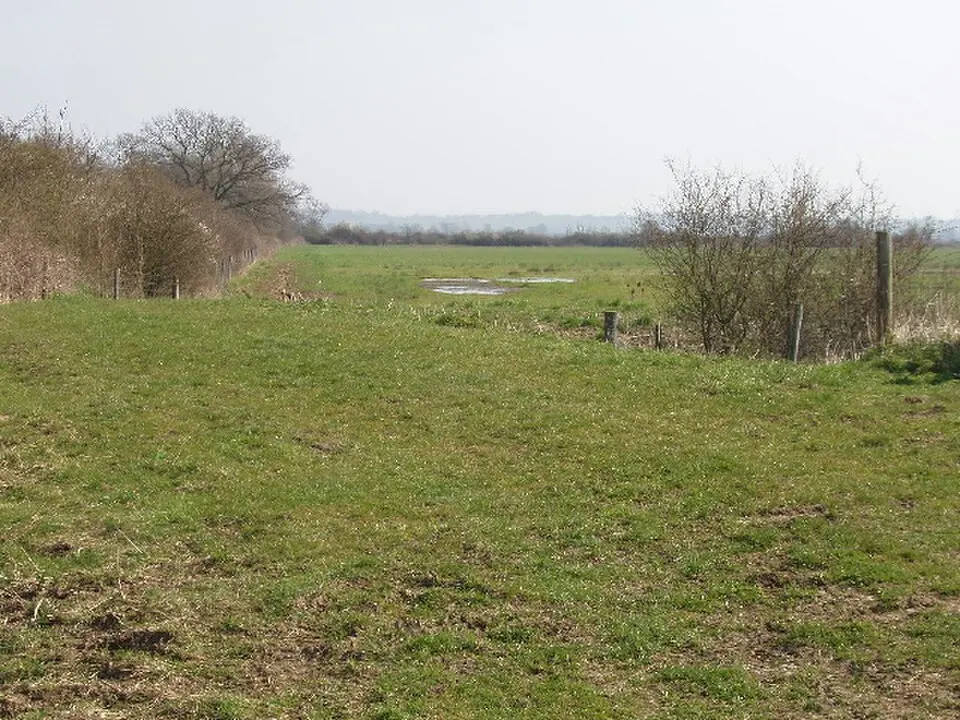 Otmoor RSPB reserve