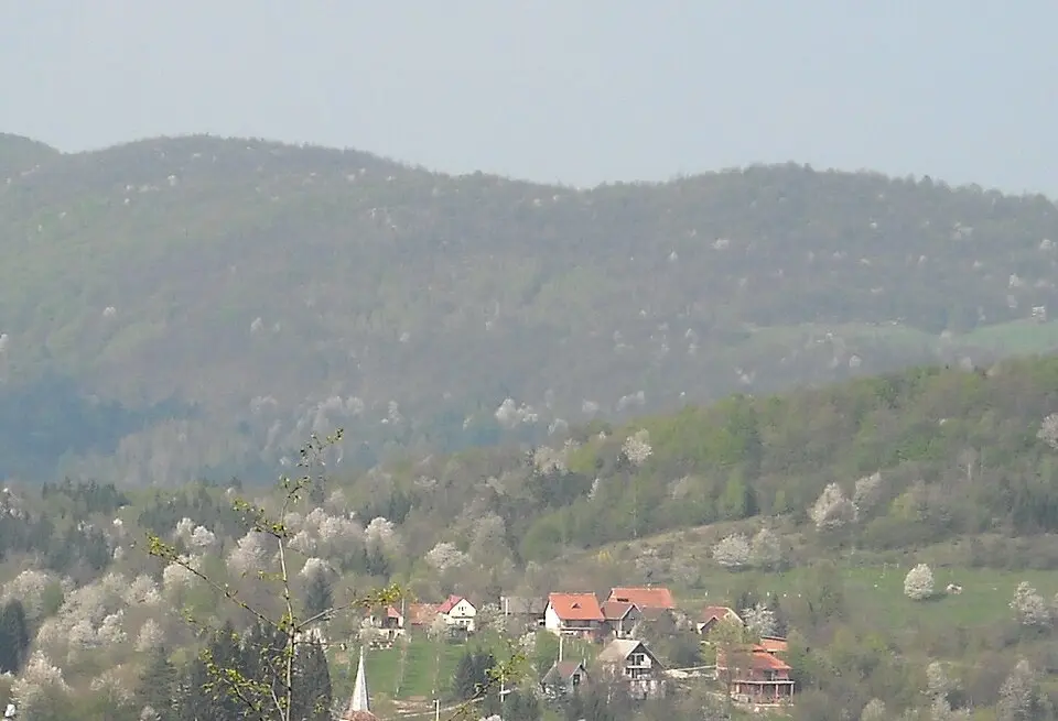 Rtić
