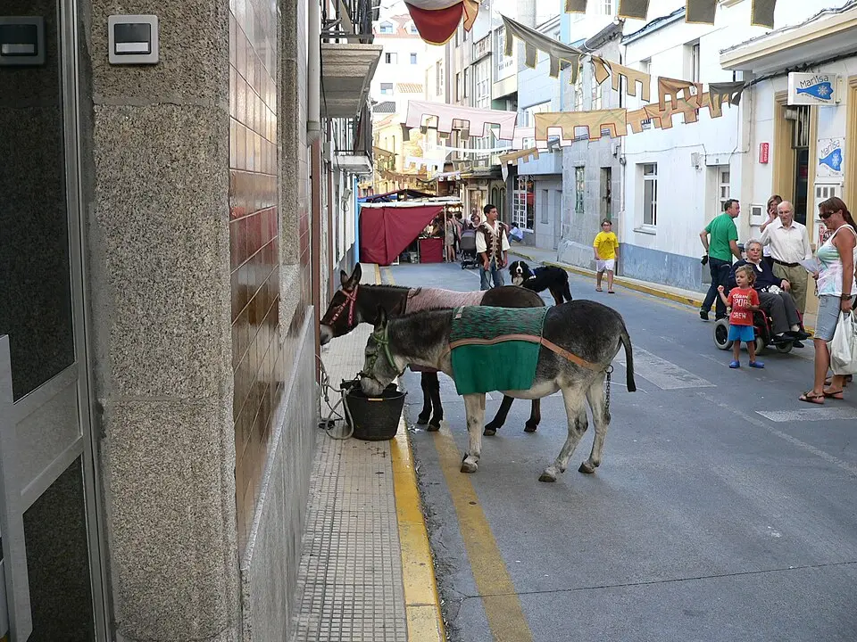San Julián de Malpica