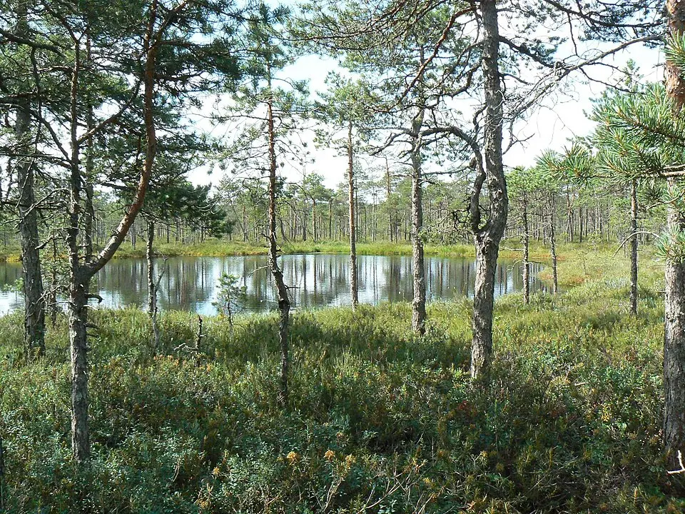 Põdrala vald
