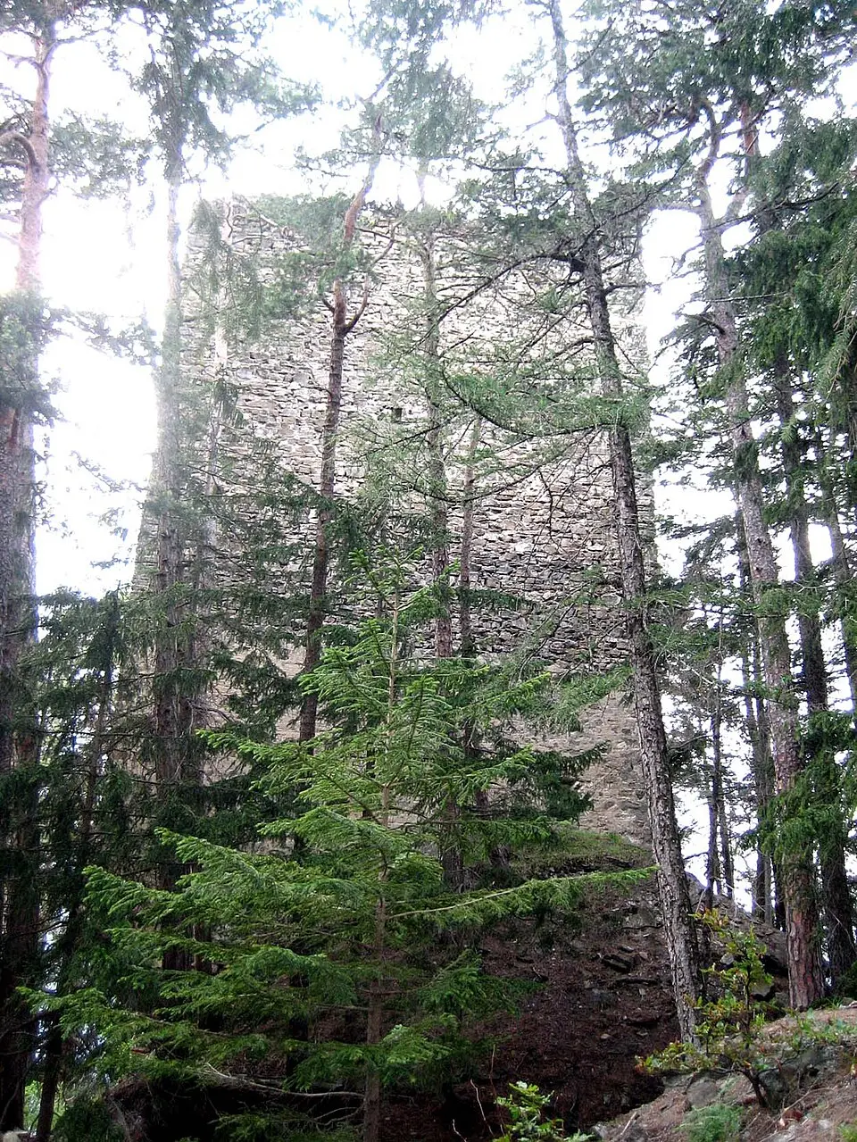Burg Ober-Ruchenberg