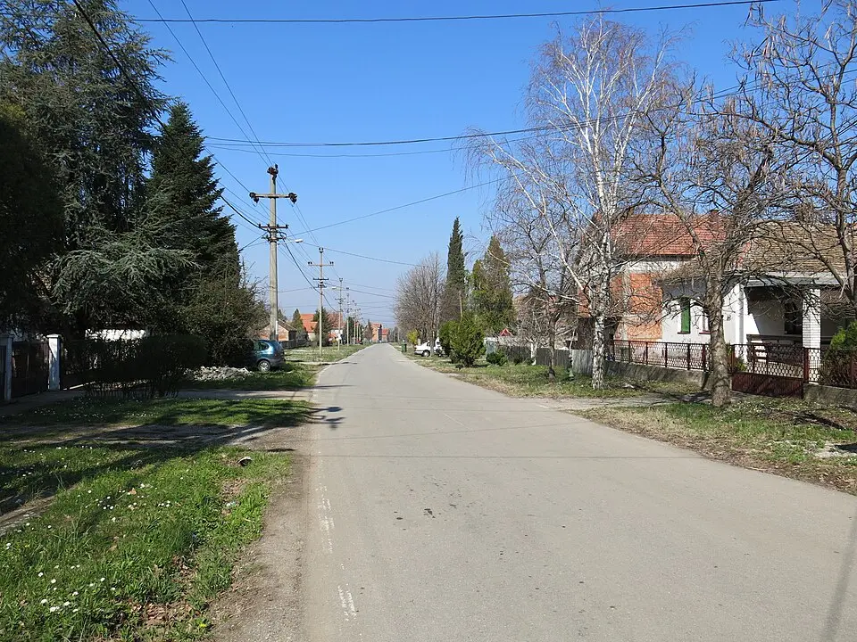Руцка