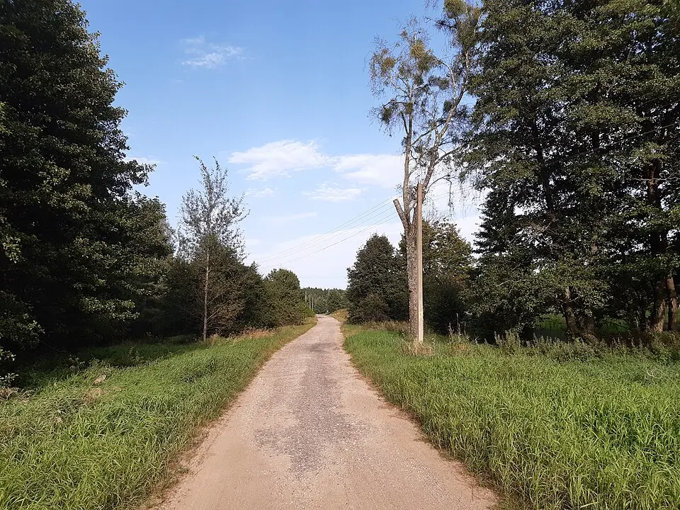 Руднікі