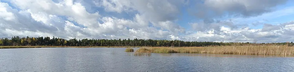 Ruila järv