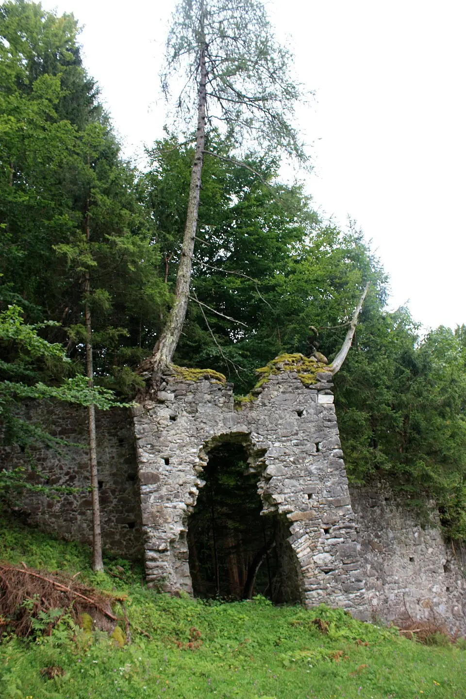 Obrázok: JJ55 · Public domain Burg Treffen