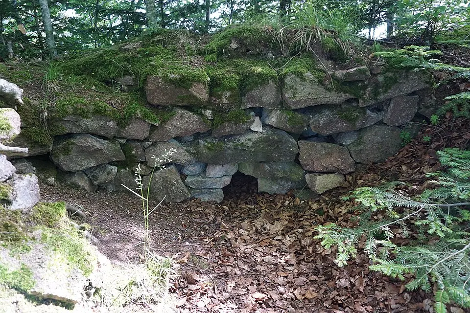 Burgruine Burgholz