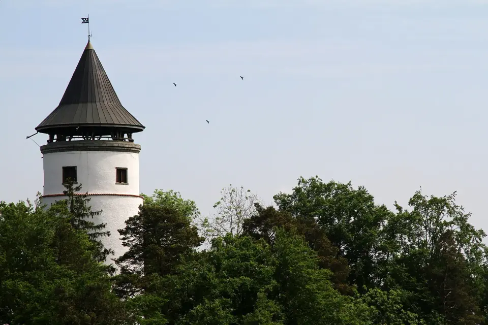 Ruine Hohenbodman
