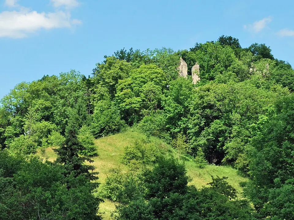 Neckarburg