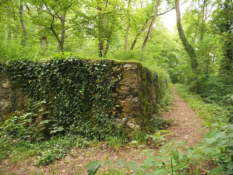 Burgruine Neuburg (Lagerburg zur Wörth)