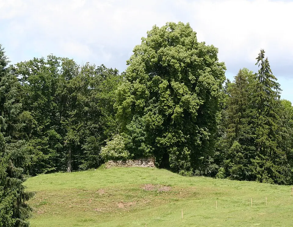 Wildberg Castle