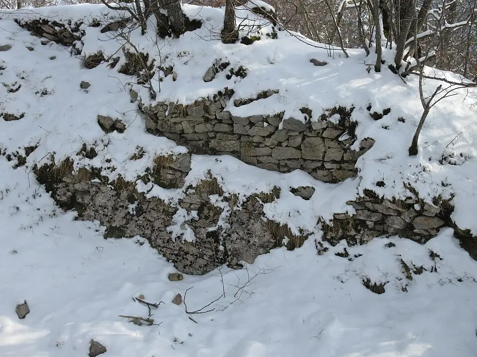 Burgruine Alt-Wildeptingen