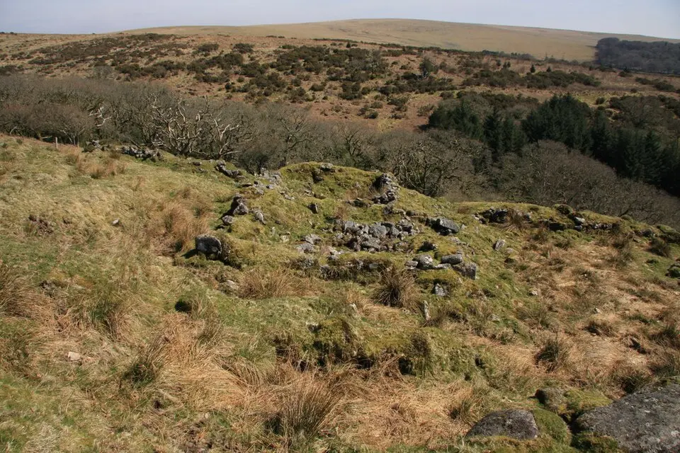 Deserted post-medieval farmstead and part of the surrounding field system at High House Waste