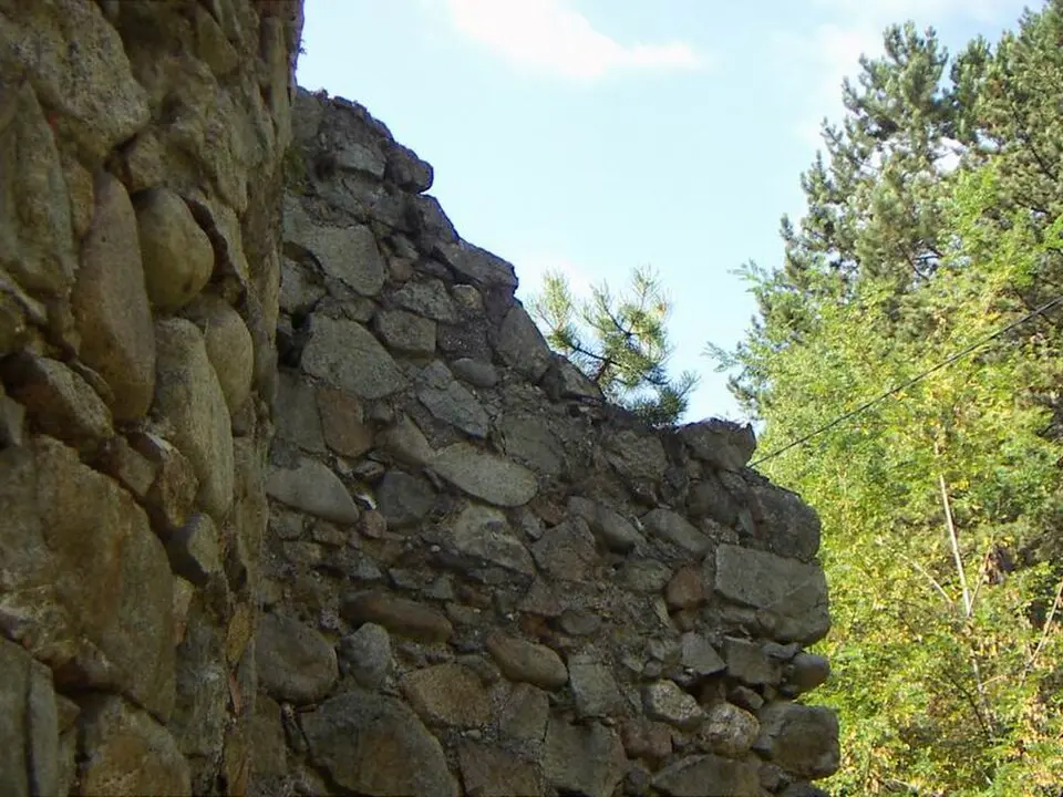 Ruins of Vișina monastery