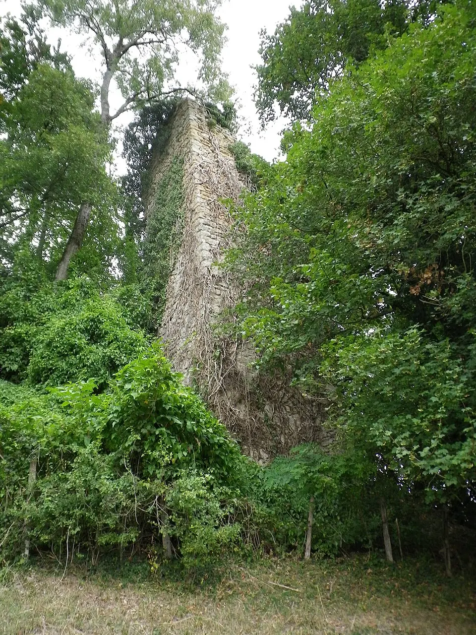 Obrázok: Nachosaurus · CC BY-SA 4.0 Montagny-le-Corbe, Ruinen der mittelalterlichen Burg