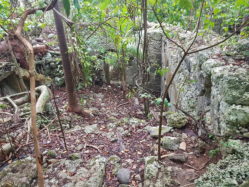 fort Louis