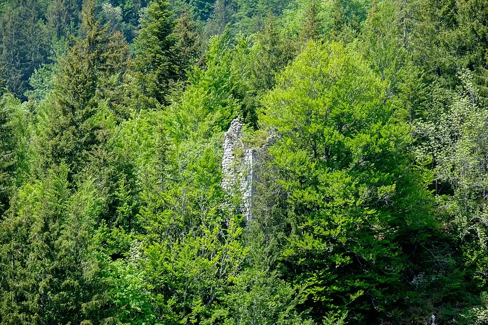 Château d'Entremont