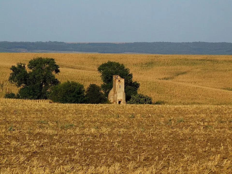 Obrázok: Pudelek (Marcin Szala) · CC BY-SA 3.0 Somoly