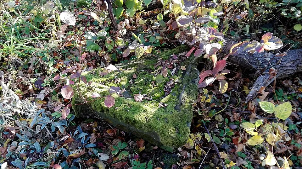 Obrázok: Wlodek k1 · CC BY-SA 3.0 Ruiny Sanktuarium Matki Bożej Bolesnej z 1743 r. na Kaplicznej Górze w Prudniku