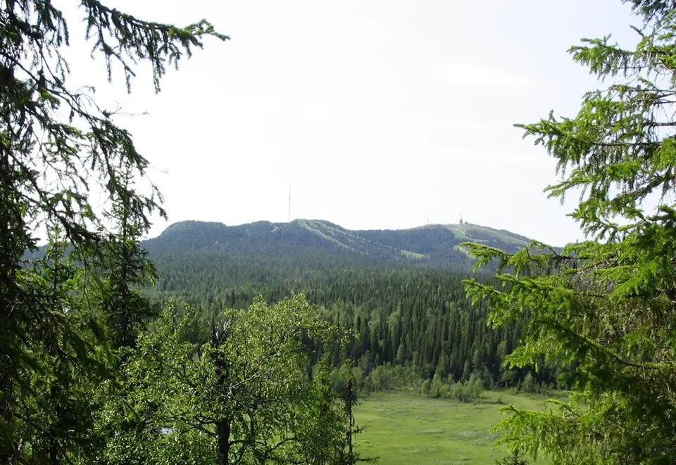 Rukatunturi