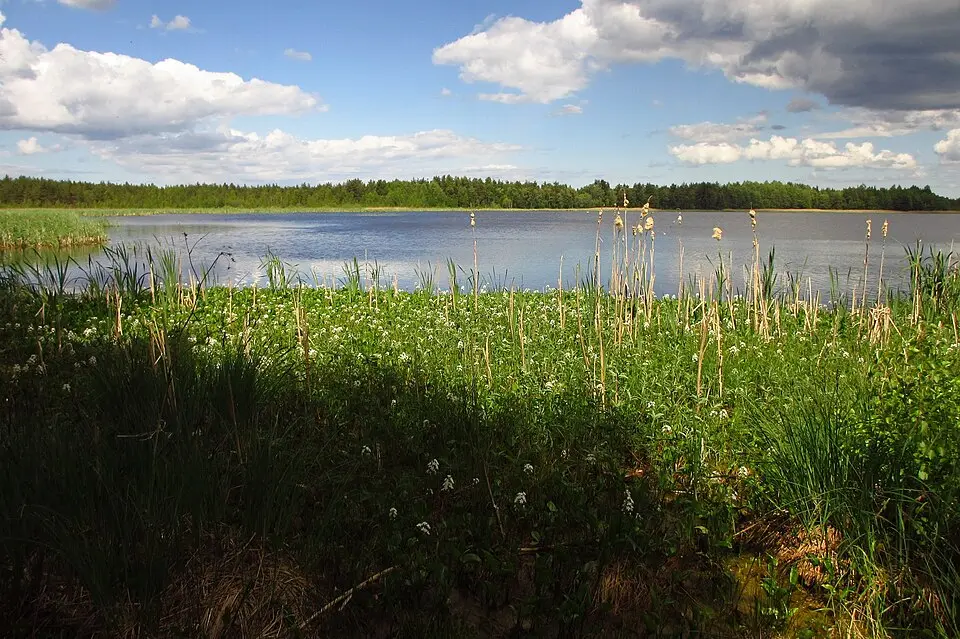 Lake Rummu