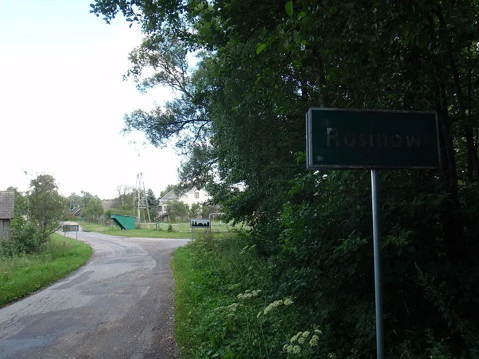 Rusinów (gmina Borkowice)