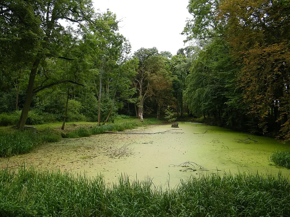 Park in Rusowo