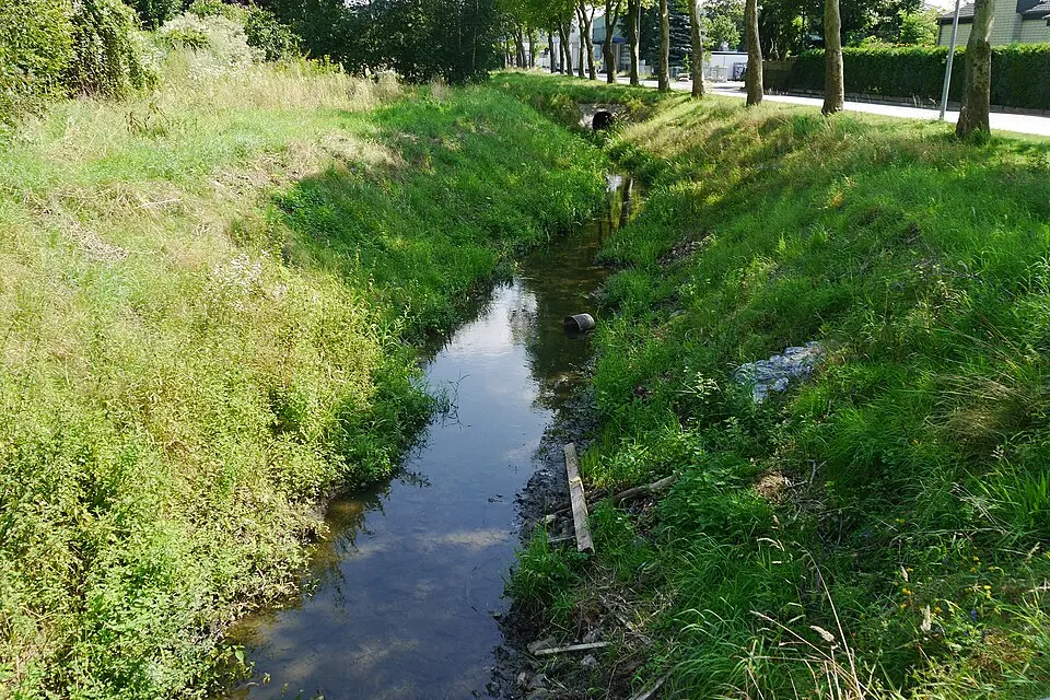 Slika: Erdkröte · CC BY-SA 3.0 Ruthenbach