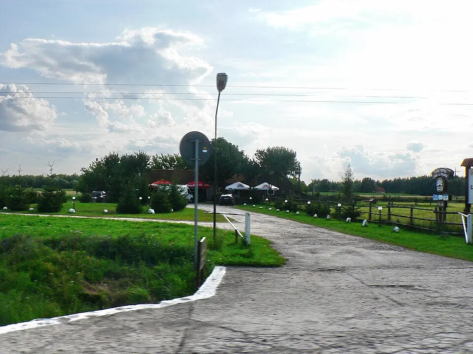 Rybitwy