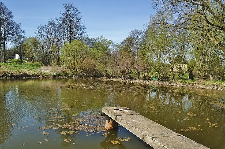 Brná
