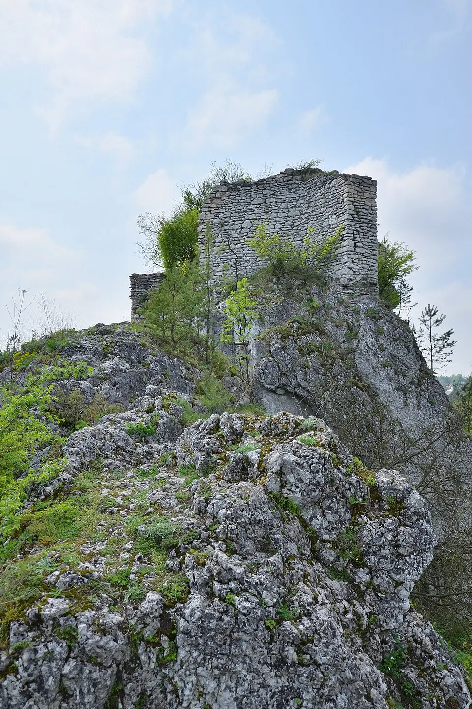 Ryczów Castle