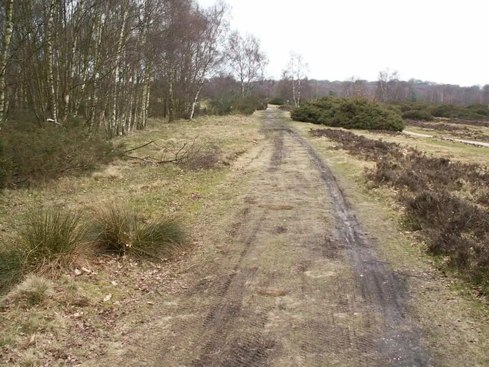 Icknield Street