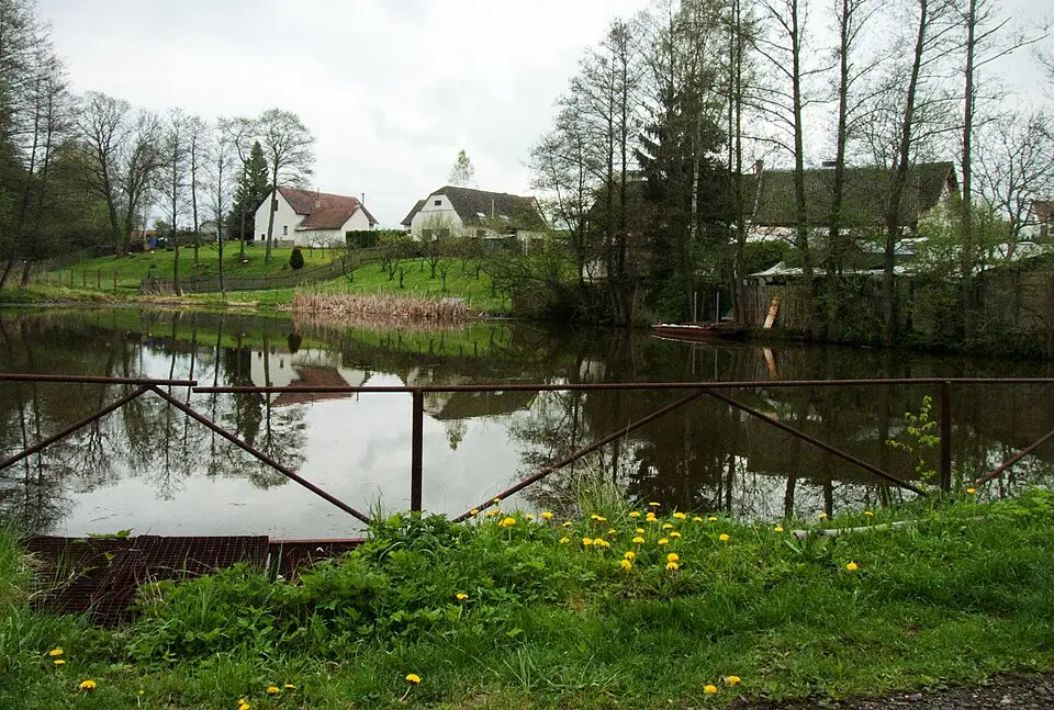 Rzavá