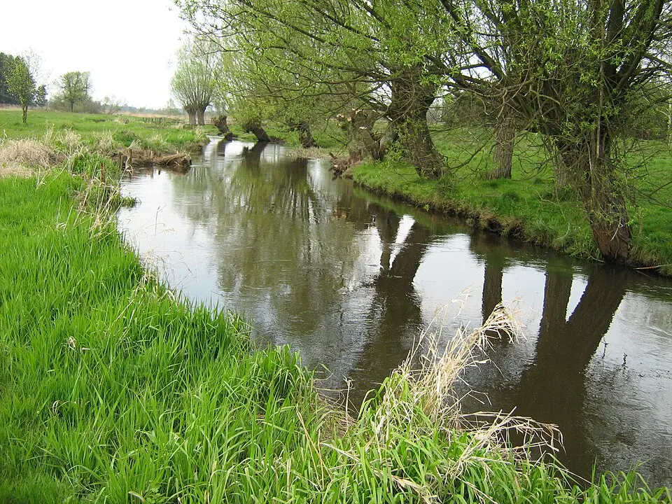 Kępa