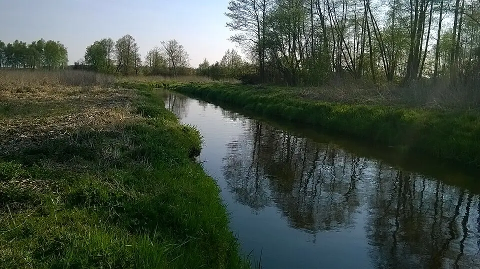 Tańsk-Przedbory