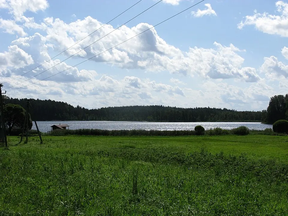 Saare järv