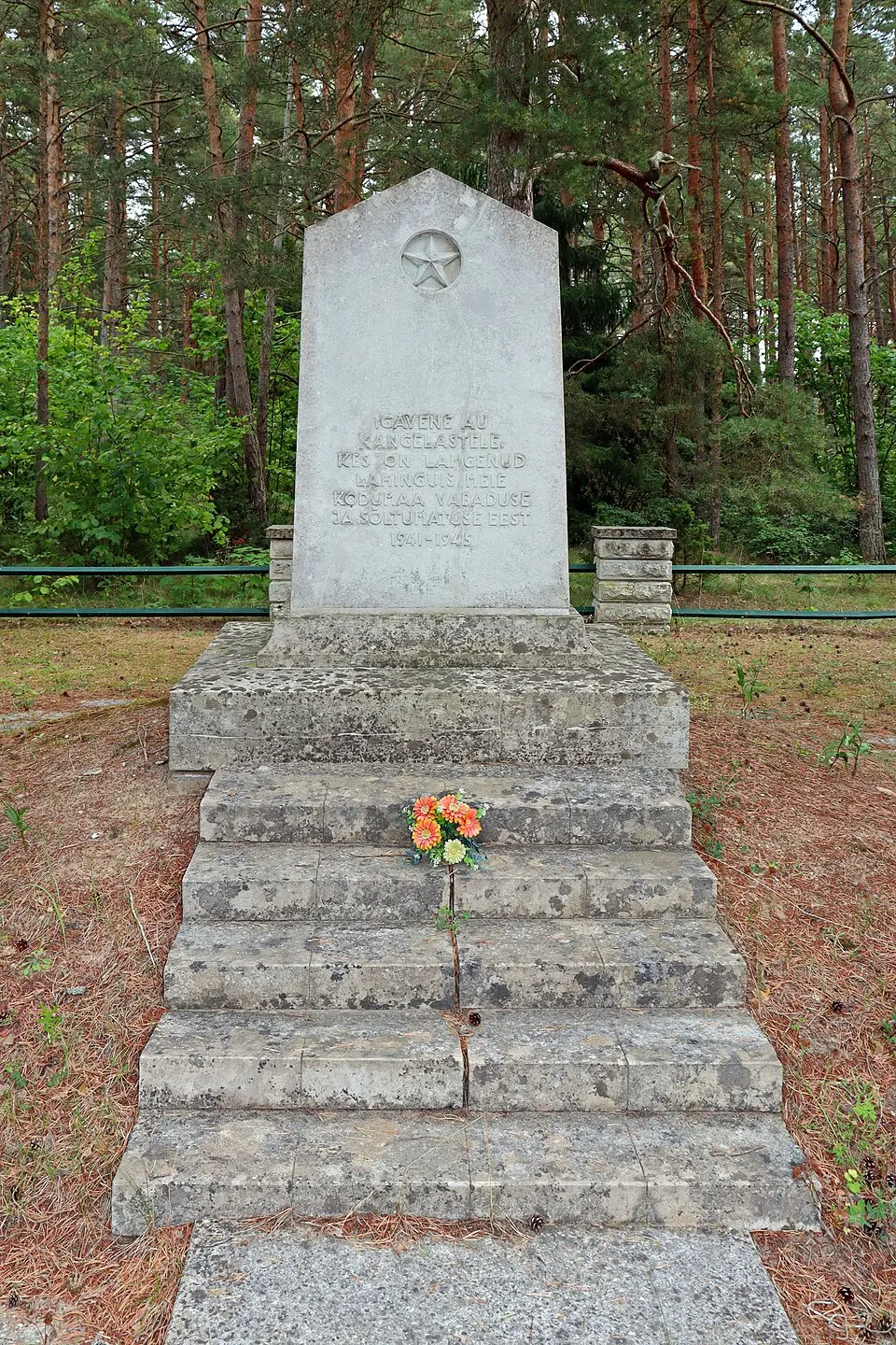 Imara