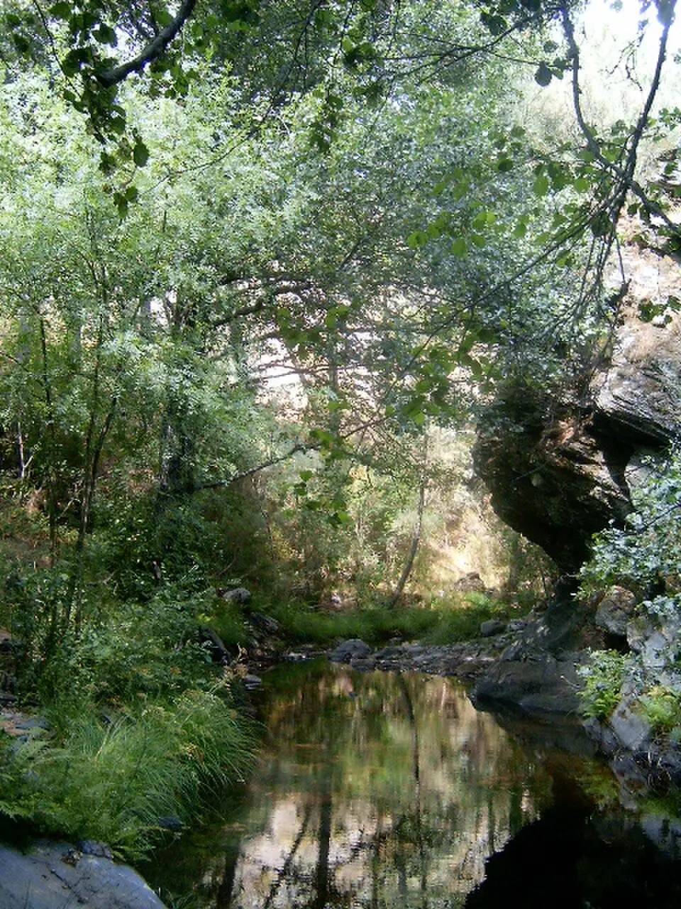 rio Sabor