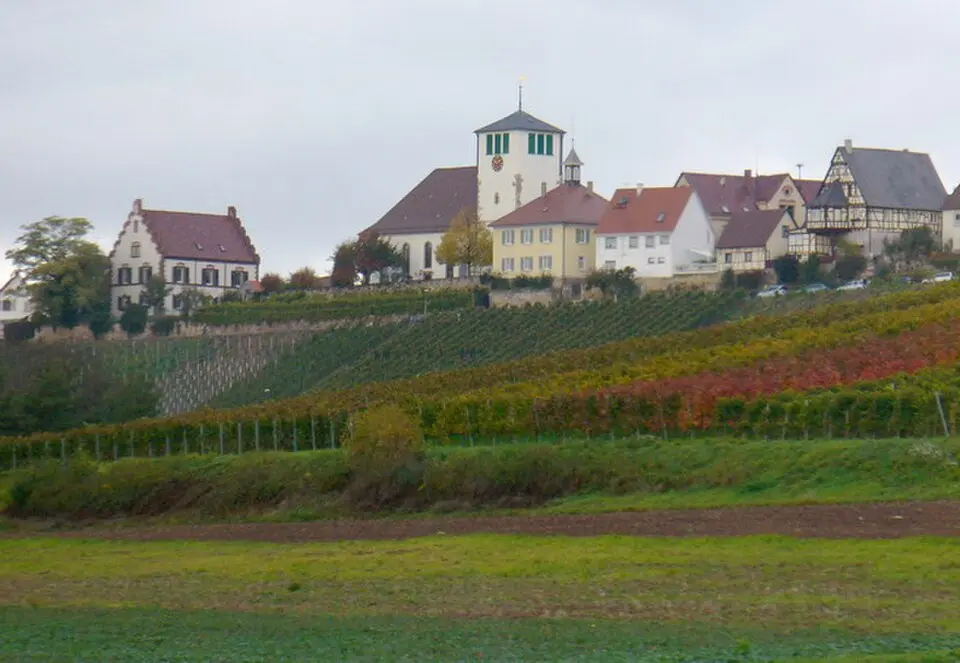 Sachsenheim