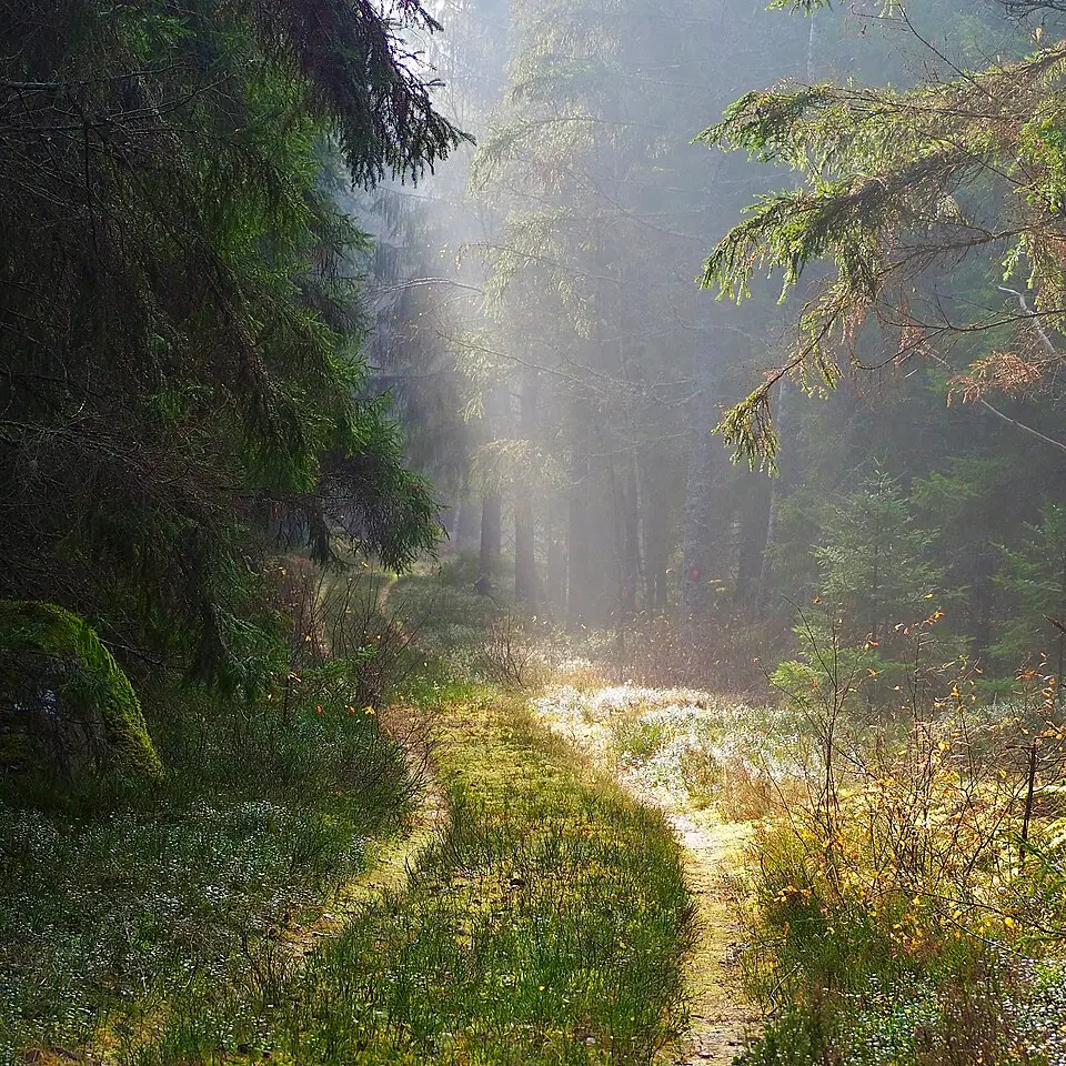 Stocksmyr-Brännan