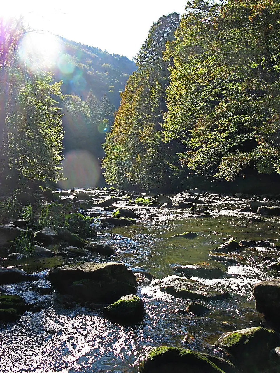Aschachtal in der Gemeinde Stroheim