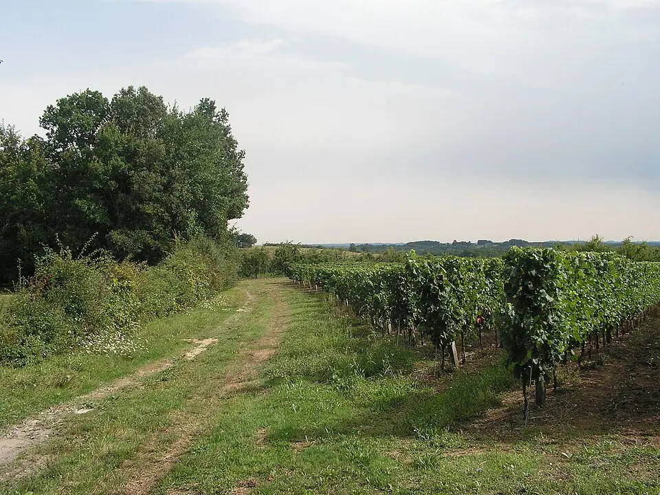 Obrázok: Pays du Grand Bergeracois · CC BY-SA 3.0 Saint-Perdoux