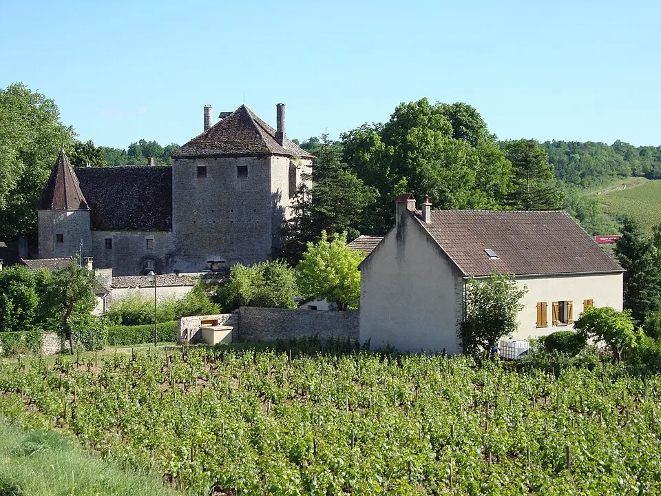 château de Gamay