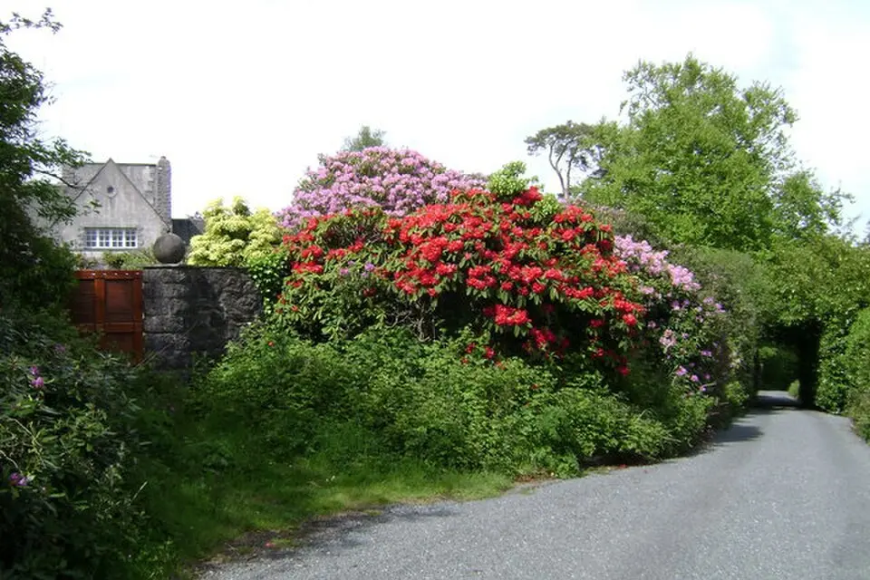 Ashcombe Tower
